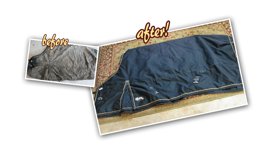 before after - J&K Horse Blanket Cleaning and Repair